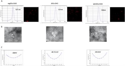 Proteomic Characterization, Biodistribution, and Functional Studies of Immune-Therapeutic Exosomes: Implications for Inflammatory Lung Diseases